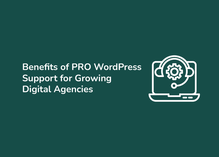 The Real Benefits Of PRO WordPress Support For Growing Digital Agencies